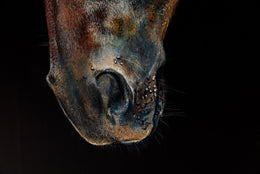 Billy detail 2