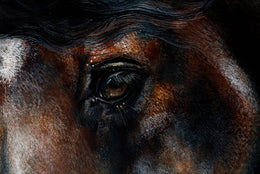 Billy detail 3