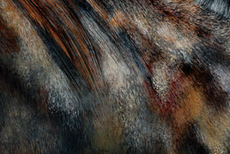 Billy detail 4