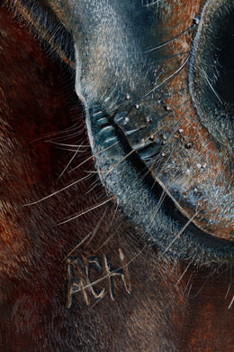 Hey Doc detail 2