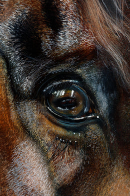 Hey Doc detail 3