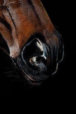 Verry Elleegant detail 2