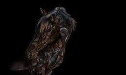 Magic detail 1