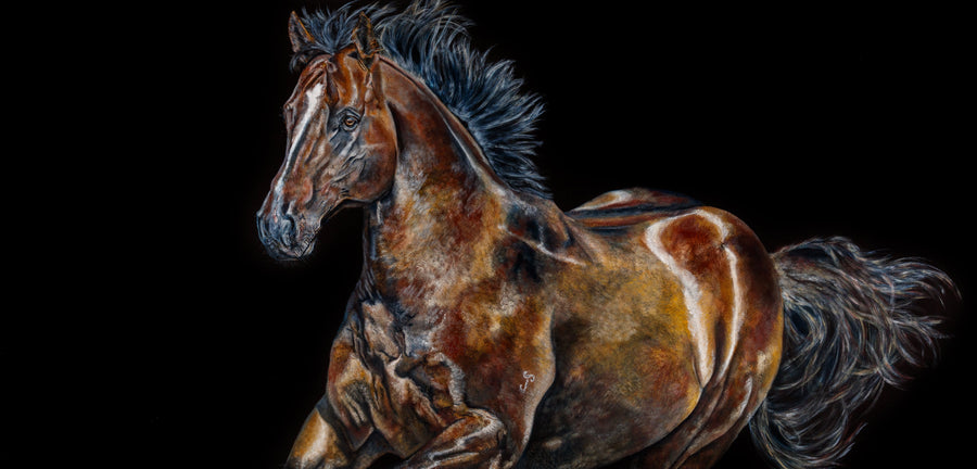 Arrow "Snitzel"