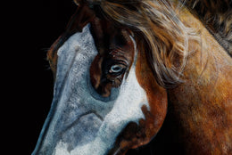 Desert Spirits detail 5