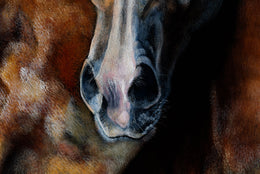 Desert Spirits detail 7