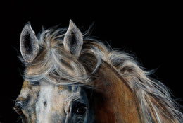 Desert Spirits detail 9