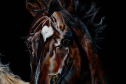 Desert Spirits detail 11
