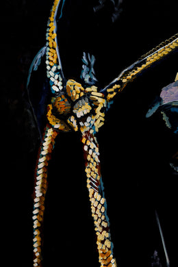 Bliss detail 5