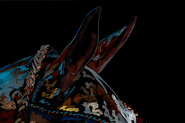 Delfina detail 5