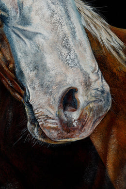 Leo detail 5