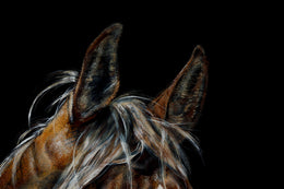 Leo detail 7
