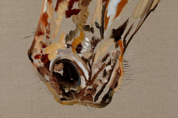 Rocky detail 4