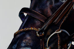Coco detail 3