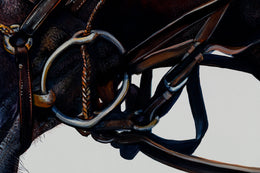 Coco detail 4