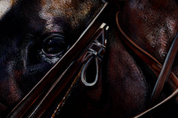 Coco detail 5