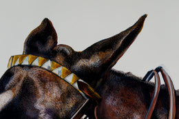 Coco detail 6