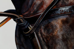 Coco detail 7
