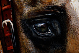 Ed detail 2