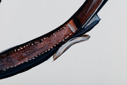 Ed detail 5