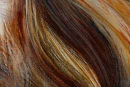 Ed detail 6