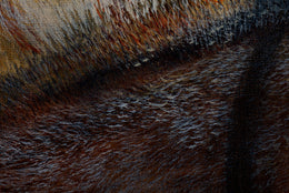 Ed detail 7