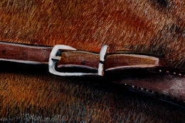 Ed detail 8