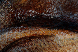Ed detail 9
