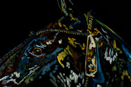 Xavier detail 2