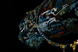 Xavier detail 4