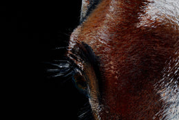 Zaaki detail 2