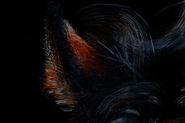 Zaaki detail 3
