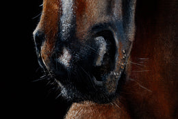 Zaaki detail 5