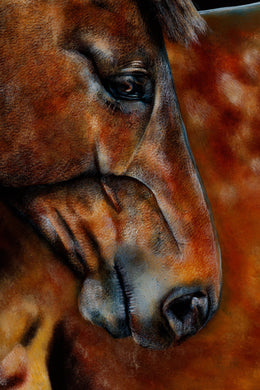 Gibbs detail 4