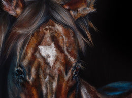 Redoute's Choice detail 10