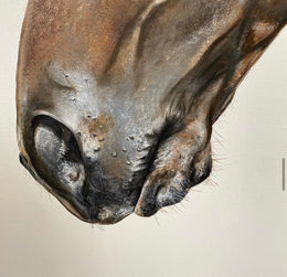 Frank detail 5